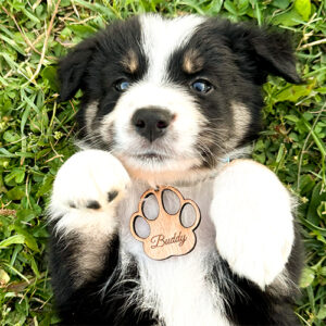 Médaille en Bois forme Patte de chien