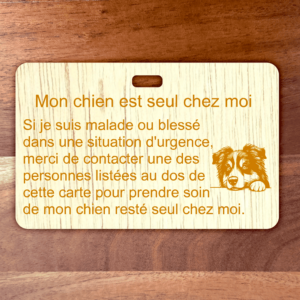 Carte d'Alerte Animal chien/chat seul